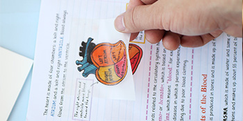 Sticky notes clear clear sticky notes white sticky notes reusable sticky notes sticky notes clear